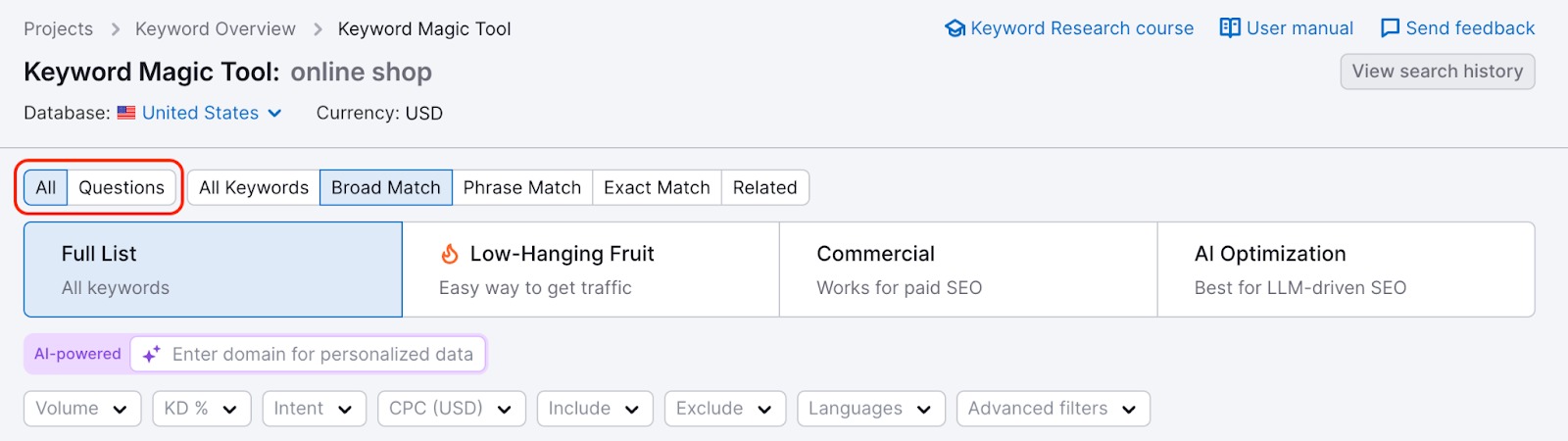 Keyword Magic Tool dashboard with a red rectangle highlighting the All and Questions filters. 